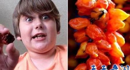 吃辣椒视频当场死亡