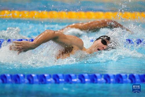 世锦赛游泳比赛视频,速度与激情的巅峰对决