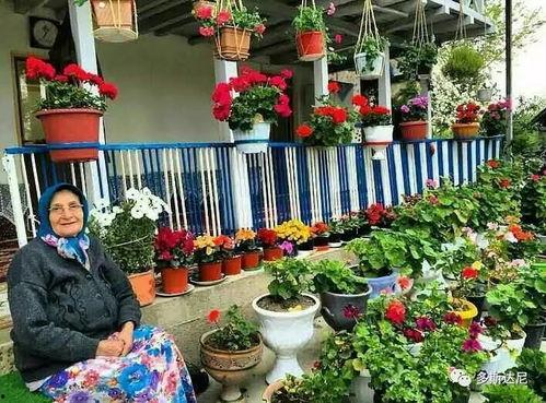 回族洗小净视频,传统仪式与心灵净化的视觉之旅