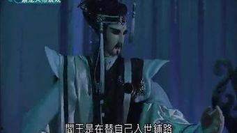 紫龙天视频站,海量资源，畅享视听盛宴