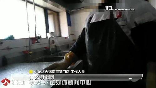 被捣视频,从被捣视频看网络暴力的危害与应对